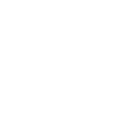 SurplusMap logo